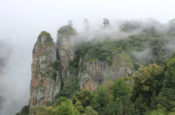 Kodaikanal Tour Package | 3 Days 2 Nights Kodaikanal Holiday Package | SD Holidays