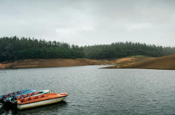 Ooty Tour Package | 3 Days 2 Nights Ooty Holiday Package | SD Holidays