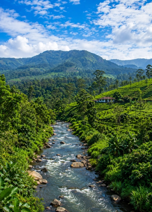 Coorg