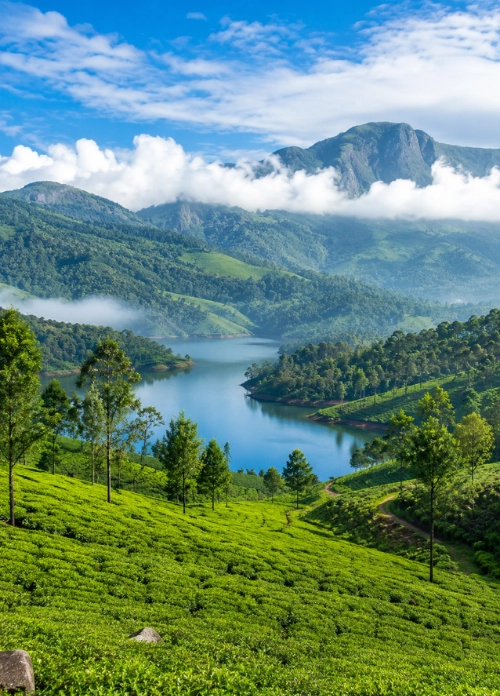 Munnar