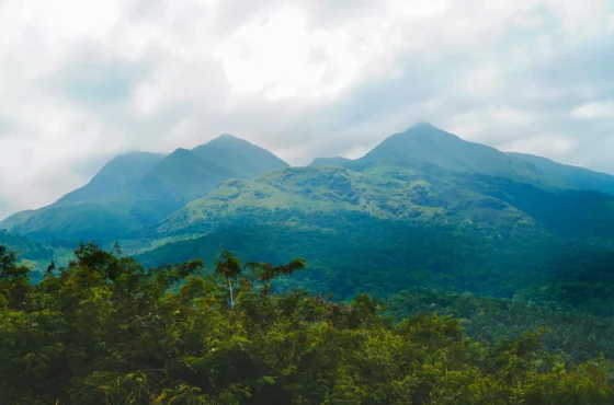 Wayanad Tour Package | 3 Days 2 Nights Wayanad Holiday Package | SD Holidays