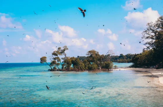 Andaman Tour Package | 5 Days 4 Nights Andaman Holiday Package | SD Holidays