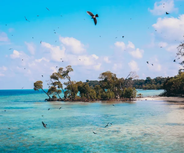 Andaman Tour Package | 5 Days 4 Nights Andaman Holiday Package | SD Holidays