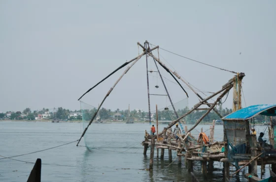 Kochi Tour Package | 2 Days 1 Night Kochi Holiday Package | SD Holidays