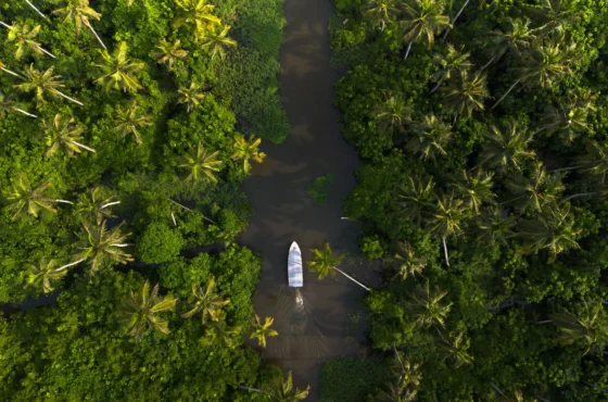 Alleppey Houseboat Tour Package | Kerala Backwater Cruise Package | SD Holidays